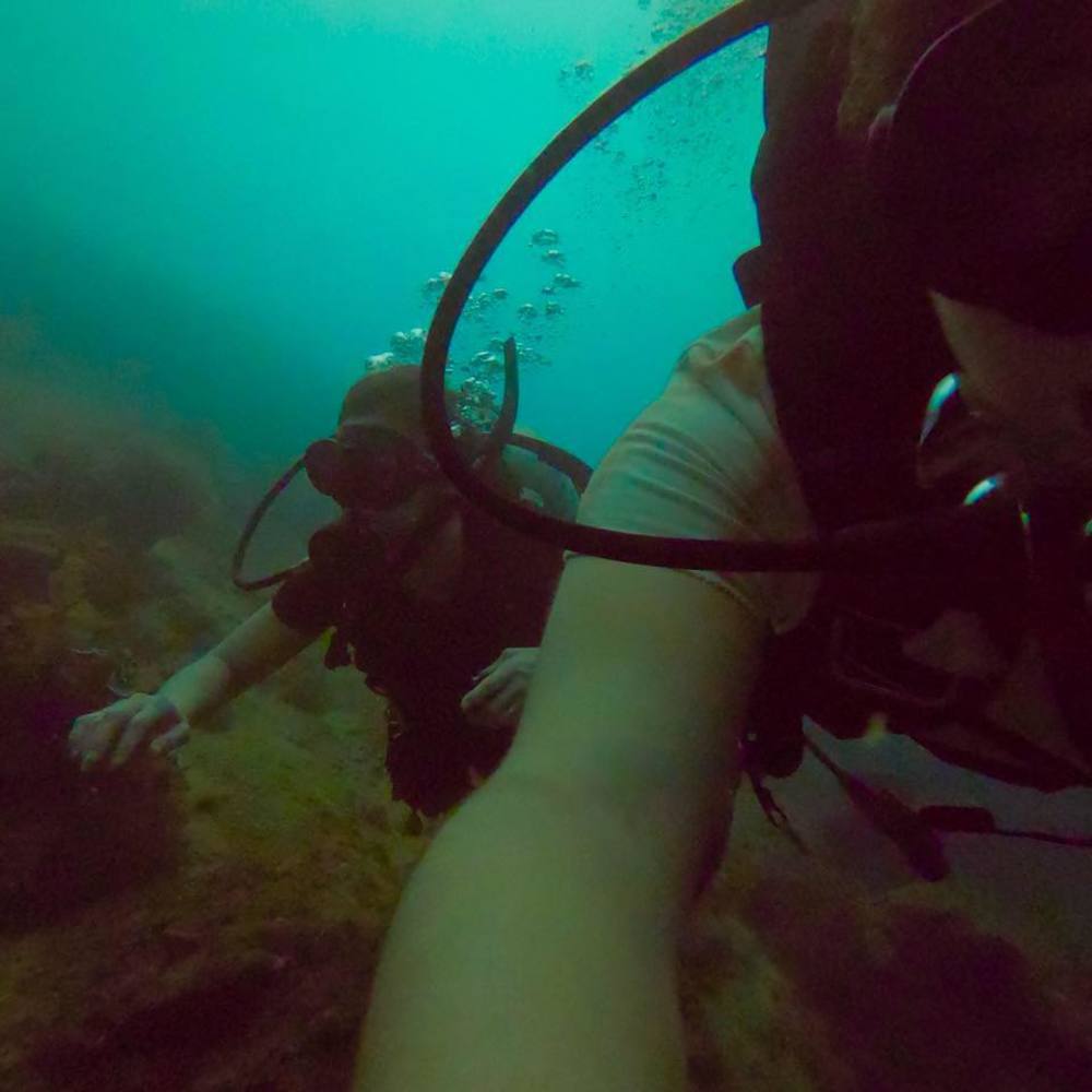 Meet your Posher, Natalie